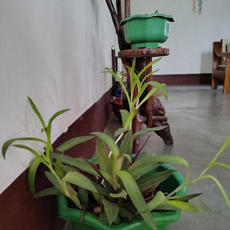 Gayatri Homestay Dibrugarh Εξωτερικό φωτογραφία